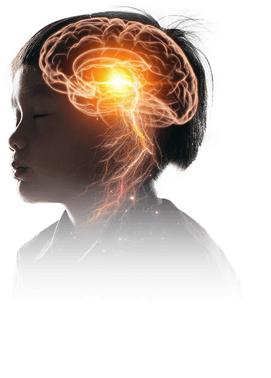 Concept graph illustrating the cognitive decline of Gamma brainwave levels from childhood to adulthood